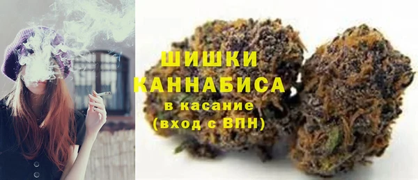 прущие крисы Горняк